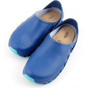 Obuwie EVOFLEX granat SCHOLL