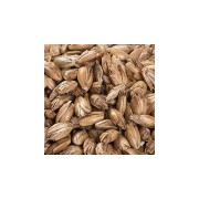 Poduszka siedziskowa z otworem RELIEFSIT BALANSSEN