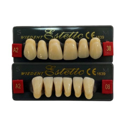 ZĘBY AKRYLOWE OM /6szt przód/ ESTETIC WIEDENT