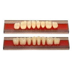 ZĘBY AKRYLOWE - boki 8szt. płytka SUPER LUX MIFAM