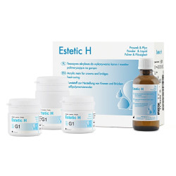 ESTETIC H akryl do licowania 100 g+50 ml płyn WIEDENT