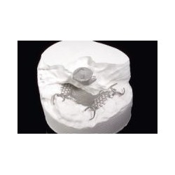 Sheracast 2000 na szkielety 400g.